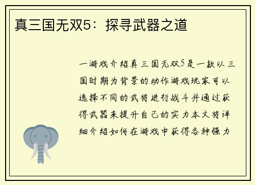 真三国无双5：探寻武器之道